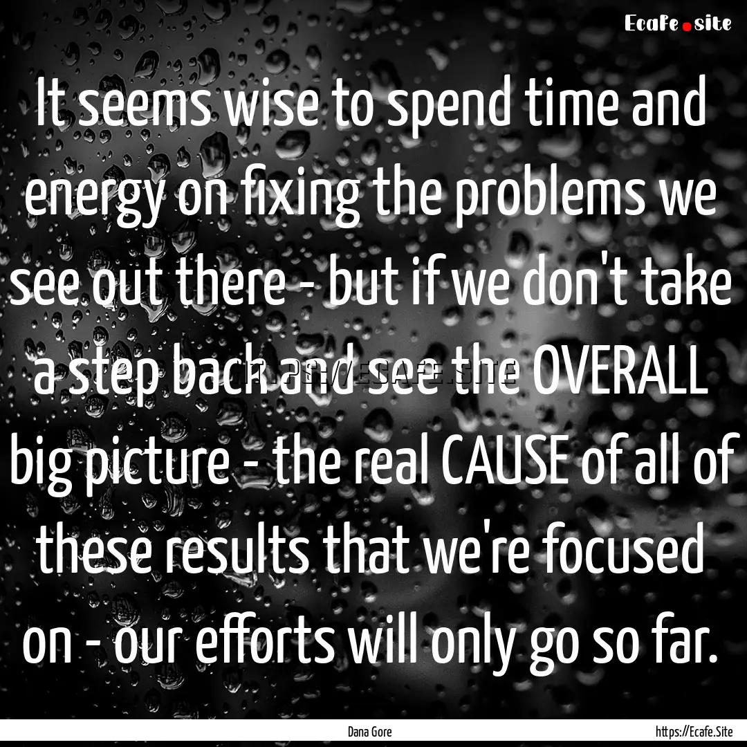 It seems wise to spend time and energy on.... : Quote by Dana Gore