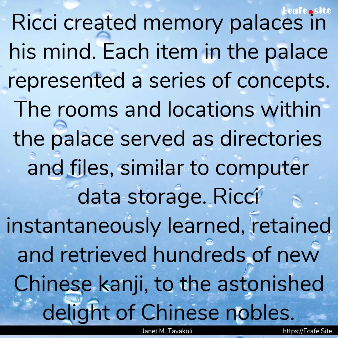 Ricci created memory palaces in his mind..... : Quote by Janet M. Tavakoli