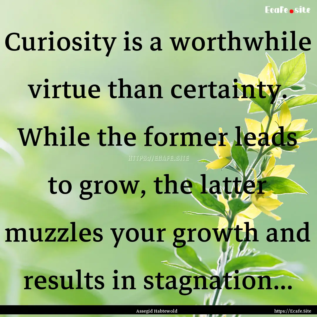 Curiosity is a worthwhile virtue than certainty..... : Quote by Assegid Habtewold