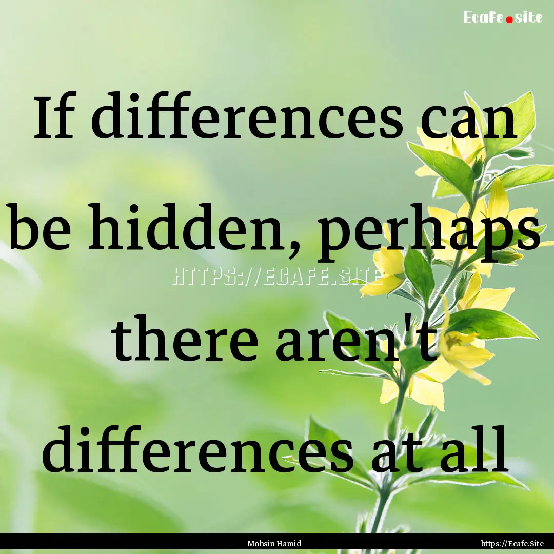 If differences can be hidden, perhaps there.... : Quote by Mohsin Hamid