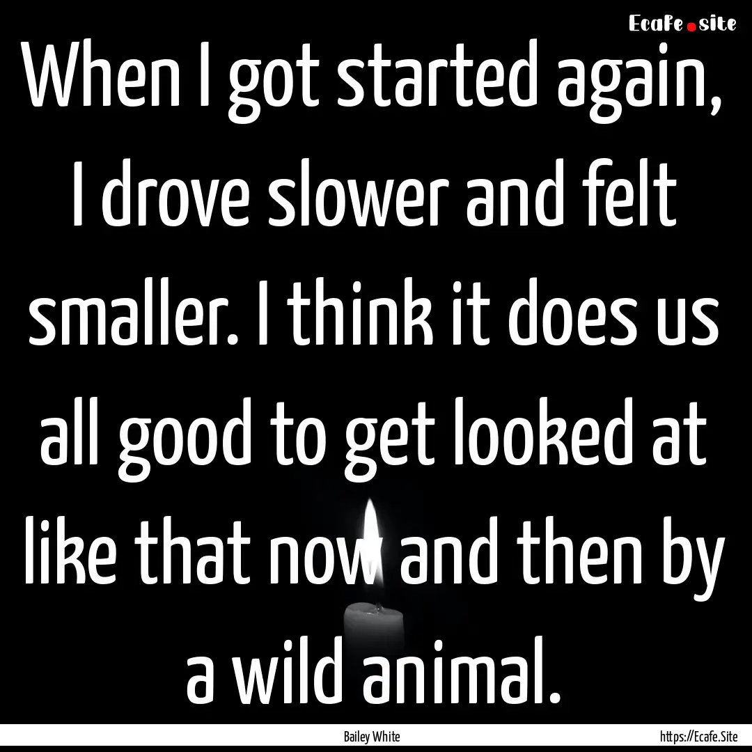 When I got started again, I drove slower.... : Quote by Bailey White