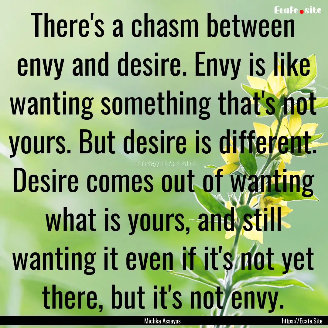 There's a chasm between envy and desire..... : Quote by Michka Assayas