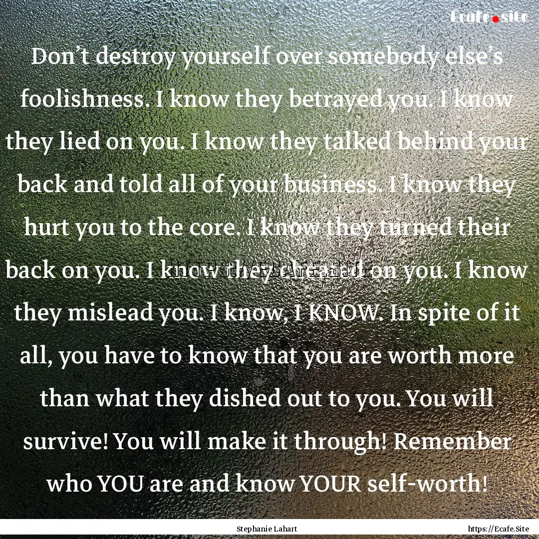 Don’t destroy yourself over somebody else’s.... : Quote by Stephanie Lahart