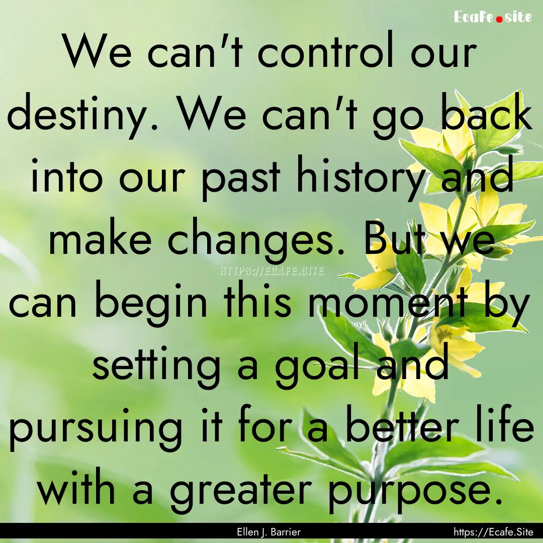 We can't control our destiny. We can't go.... : Quote by Ellen J. Barrier