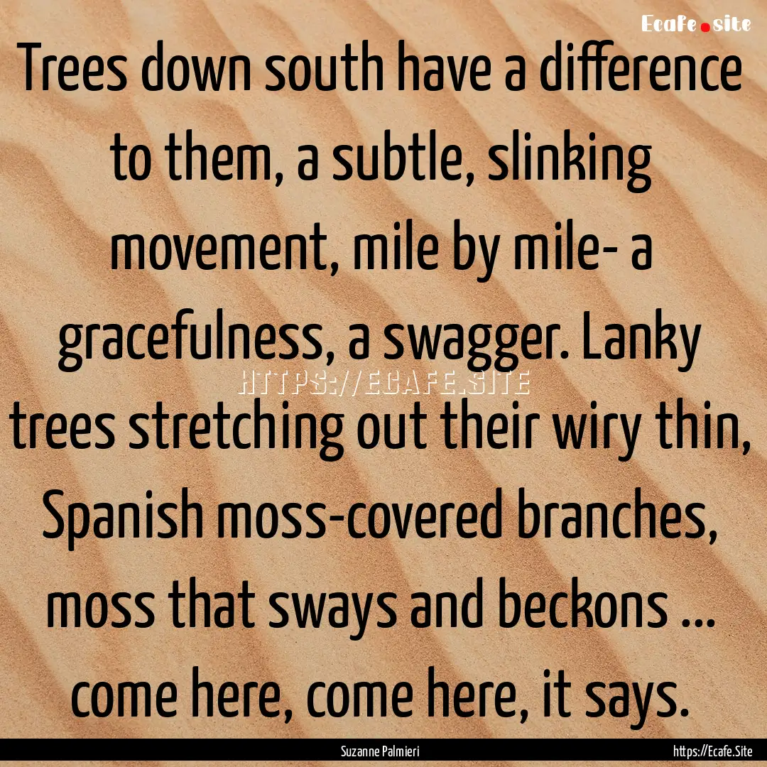 Trees down south have a difference to them,.... : Quote by Suzanne Palmieri