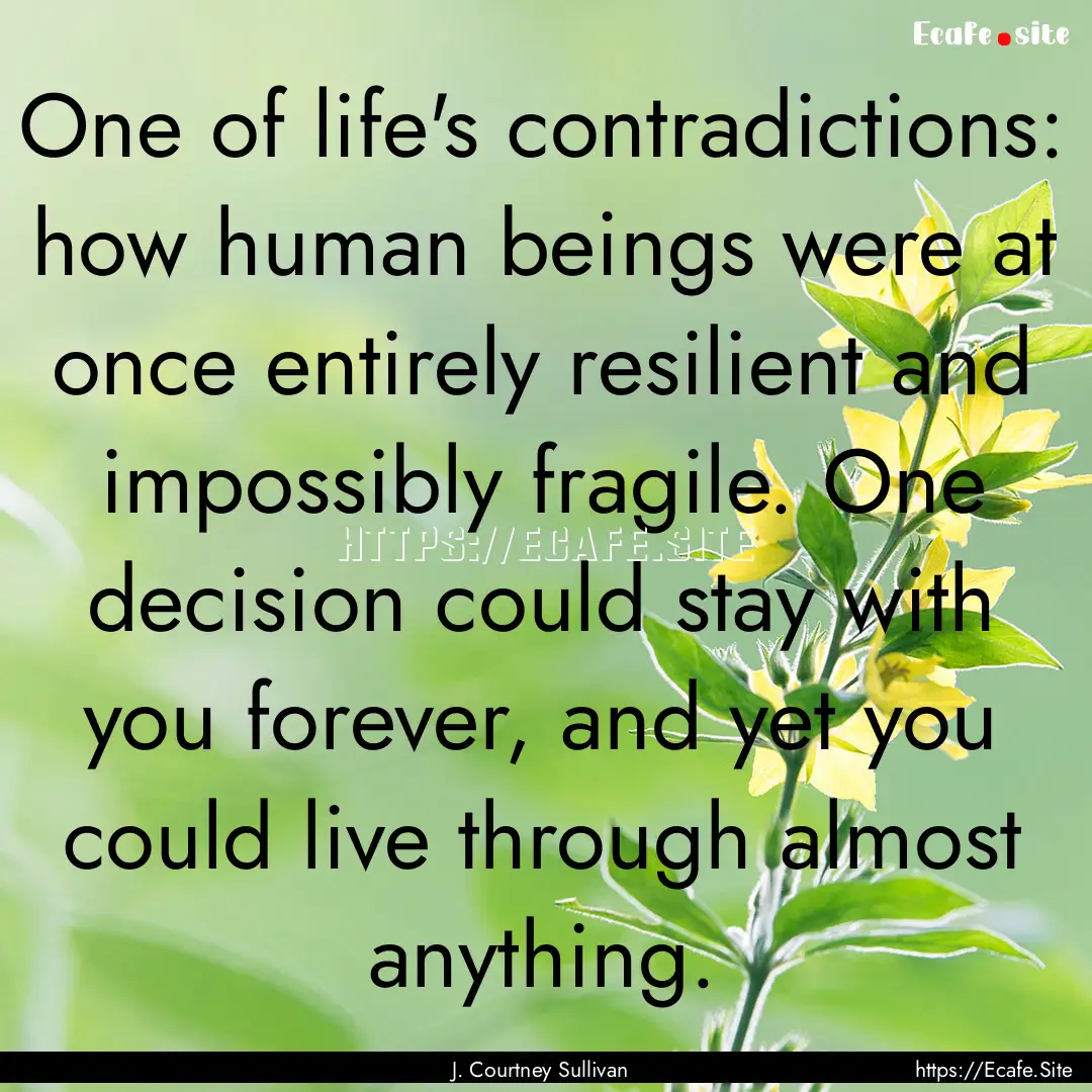 One of life's contradictions: how human beings.... : Quote by J. Courtney Sullivan