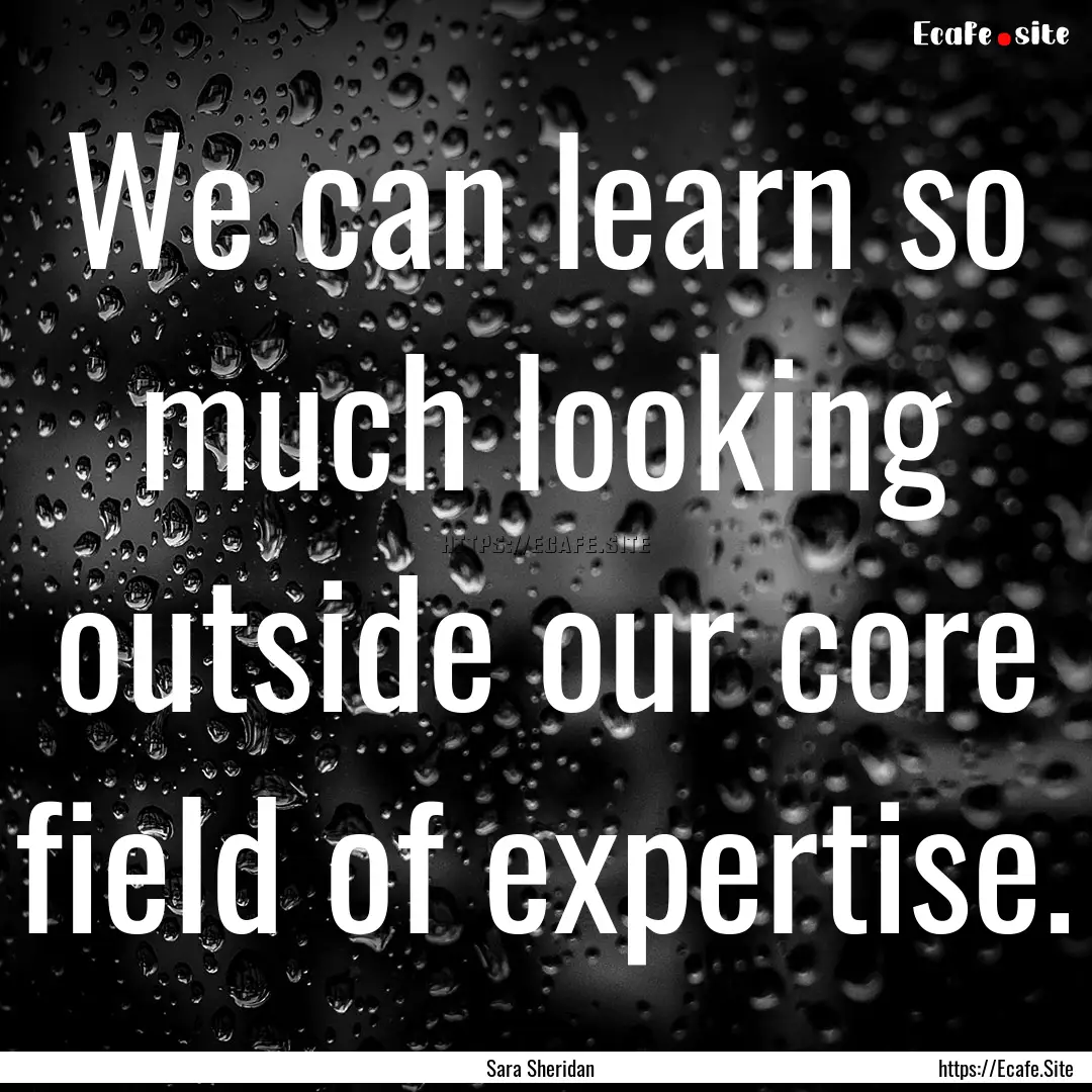 We can learn so much looking outside our.... : Quote by Sara Sheridan