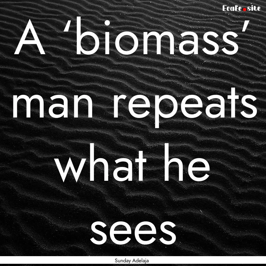 A ‘biomass’ man repeats what he sees : Quote by Sunday Adelaja