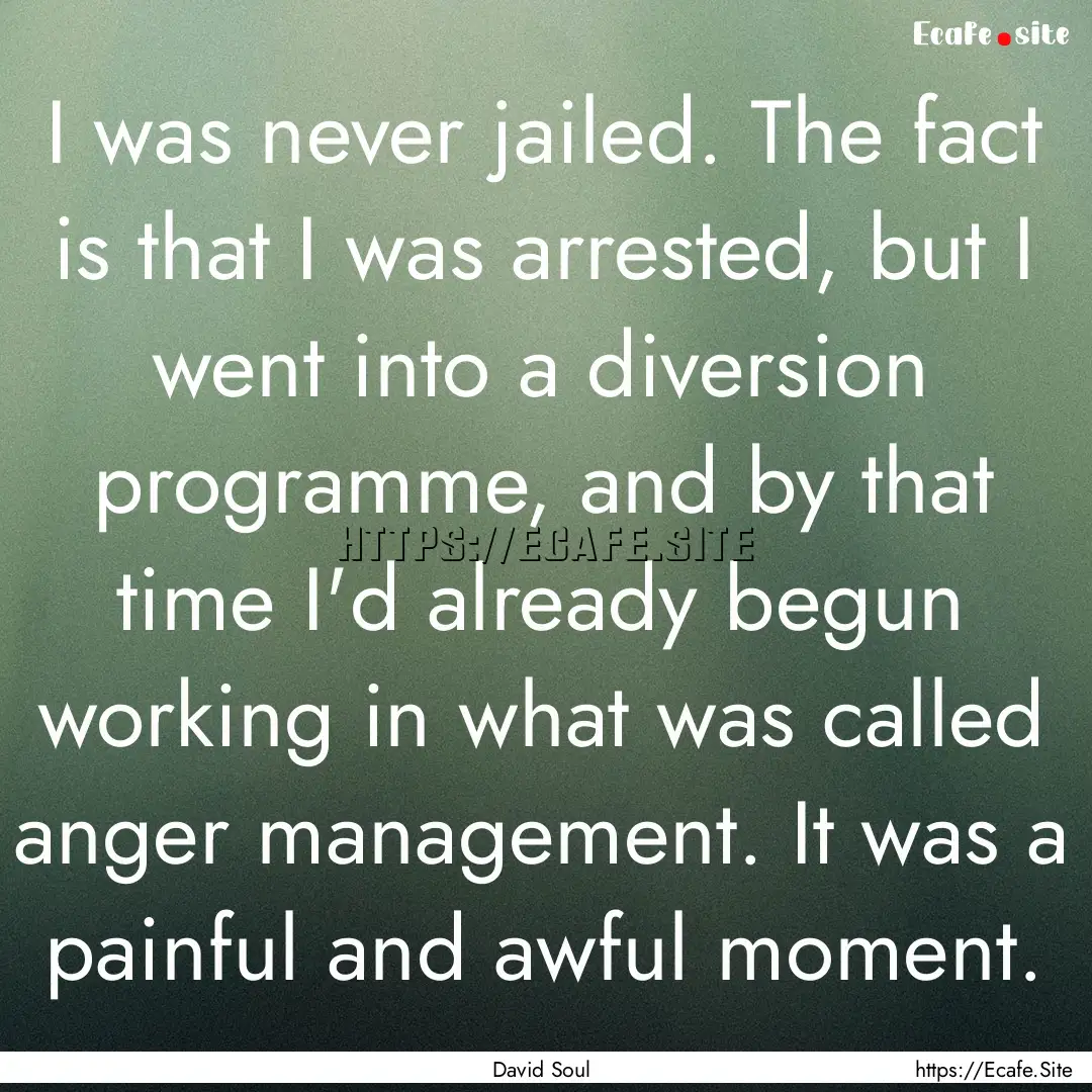 I was never jailed. The fact is that I was.... : Quote by David Soul