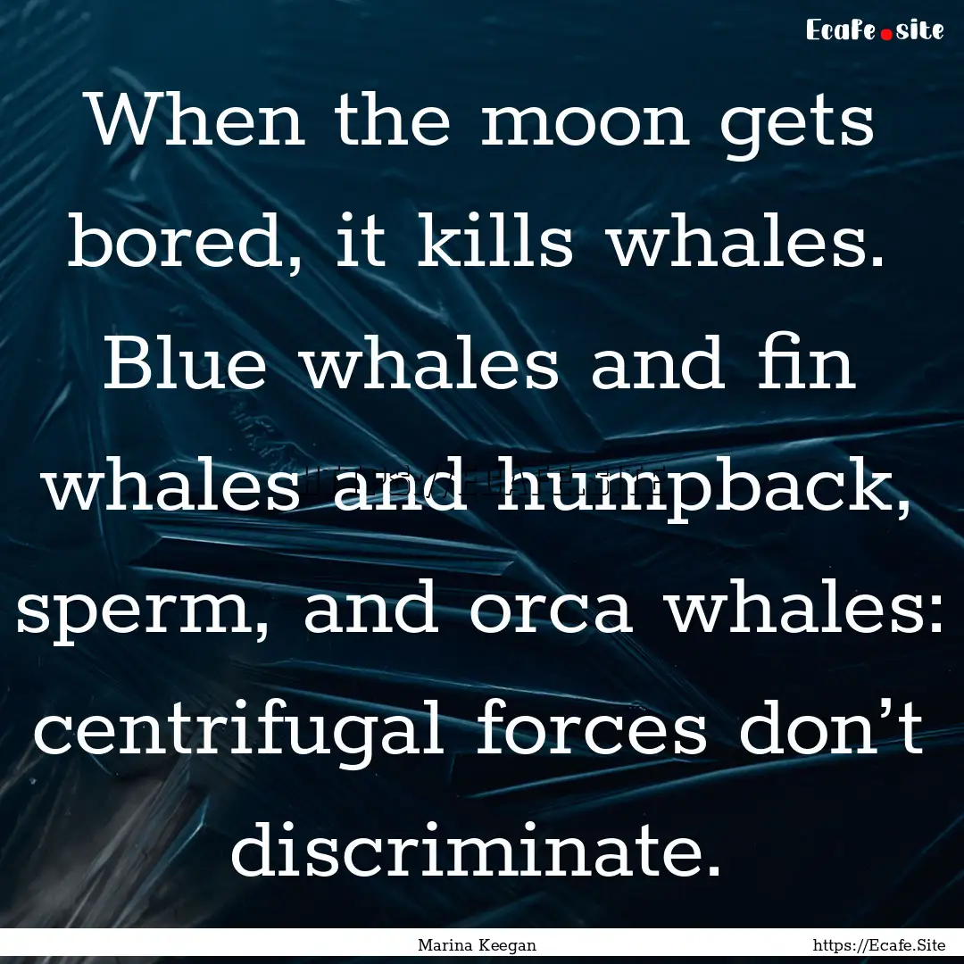 When the moon gets bored, it kills whales..... : Quote by Marina Keegan