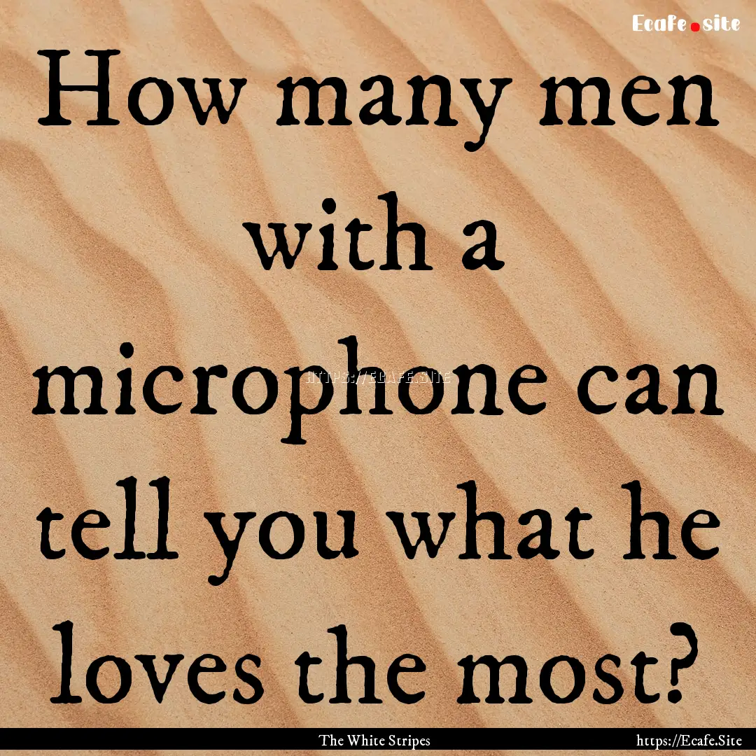 How many men with a microphone can tell you.... : Quote by The White Stripes