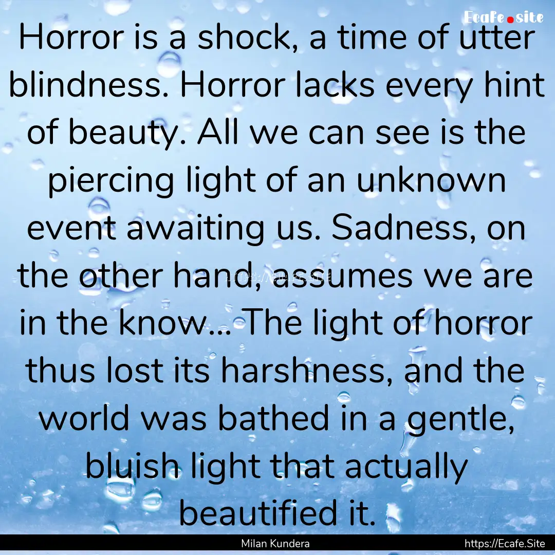 Horror is a shock, a time of utter blindness..... : Quote by Milan Kundera