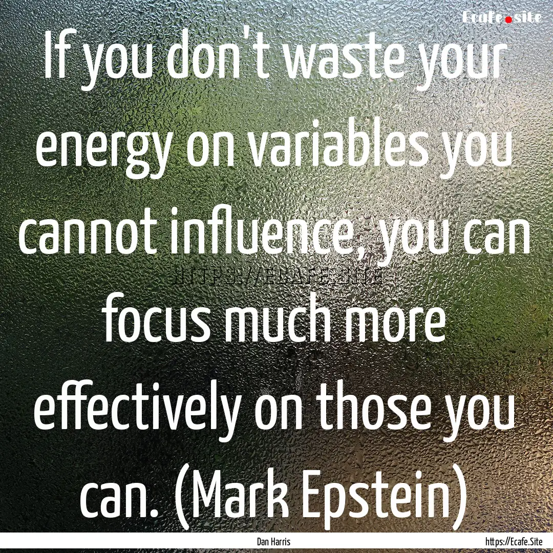 If you don't waste your energy on variables.... : Quote by Dan Harris