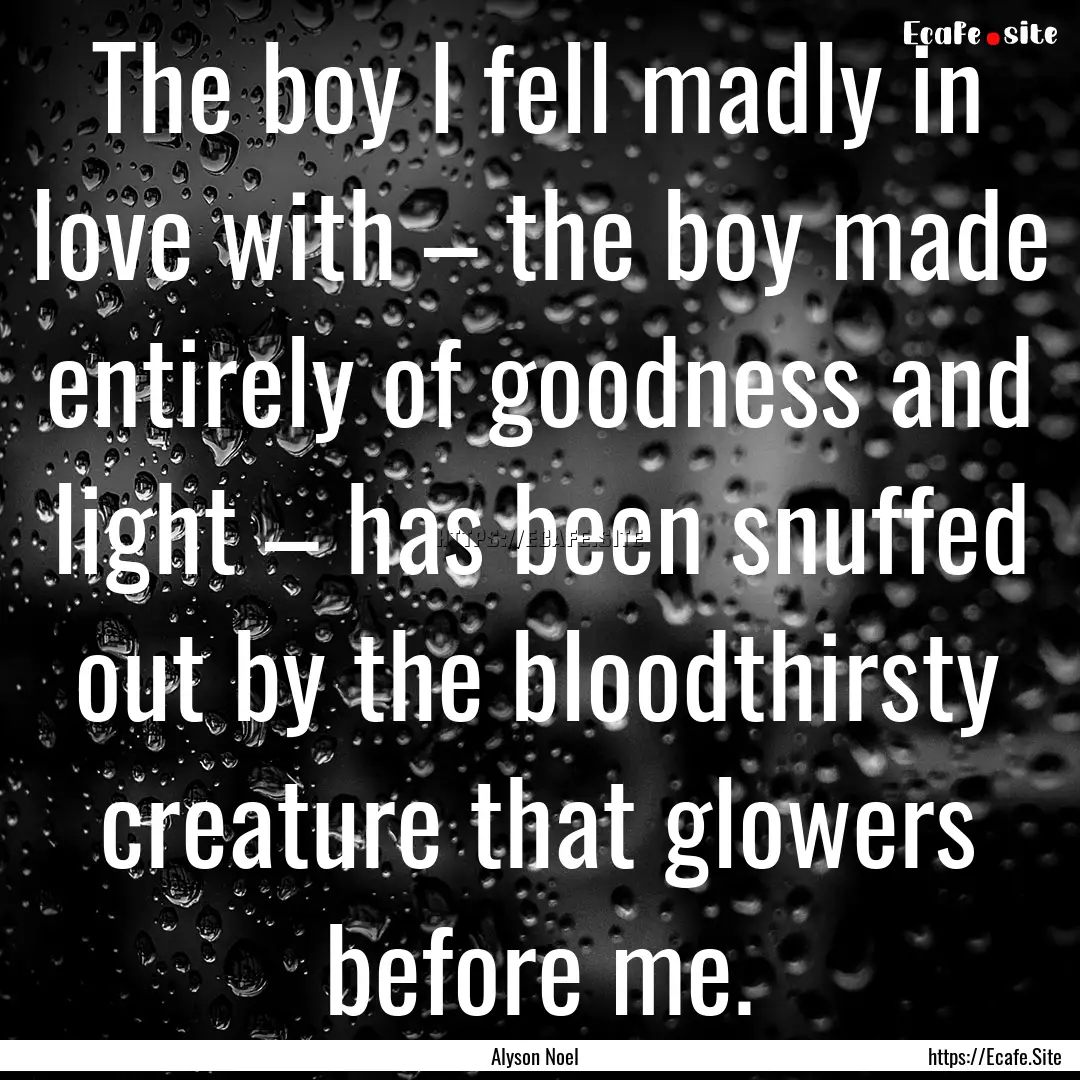 The boy I fell madly in love with – the.... : Quote by Alyson Noel