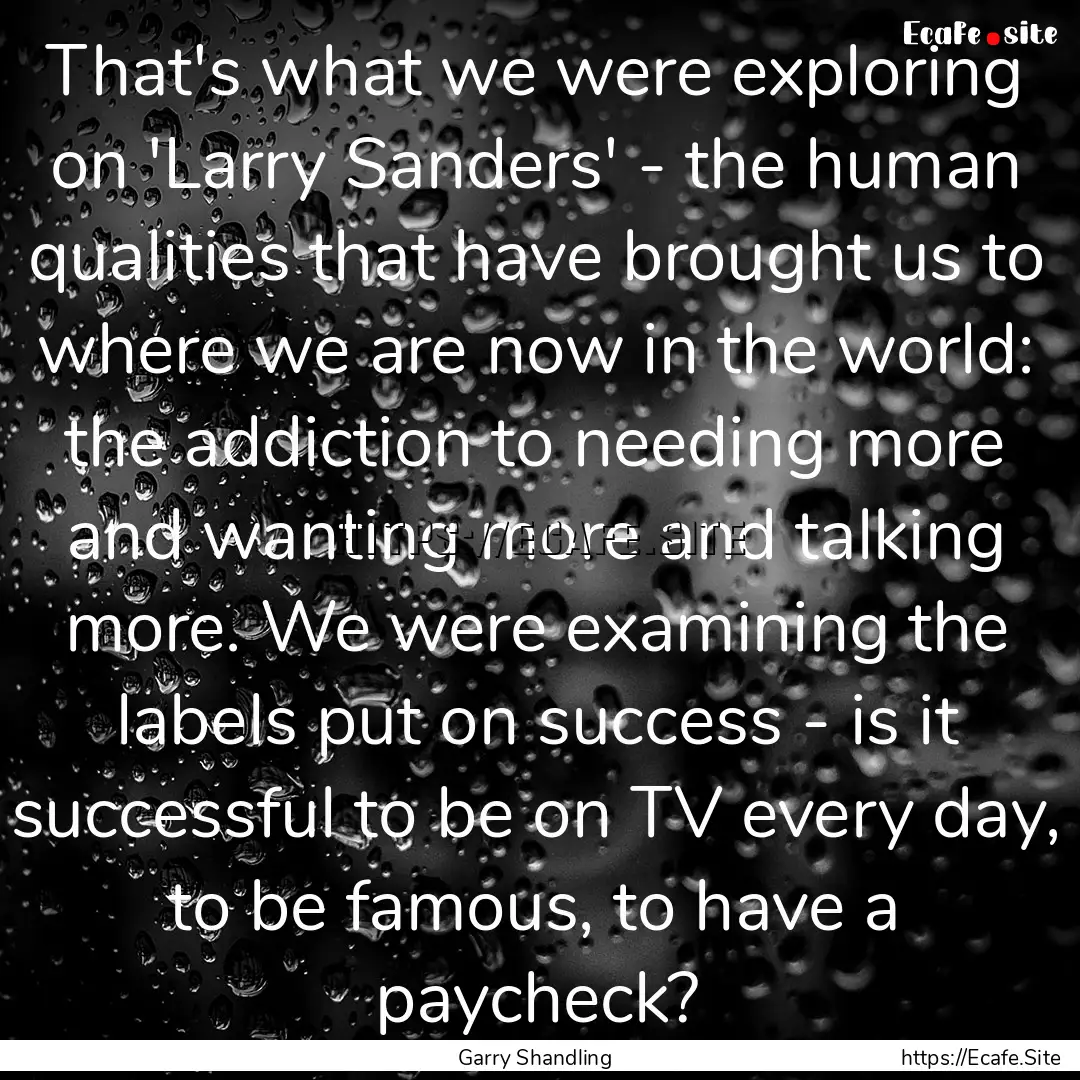 That's what we were exploring on 'Larry Sanders'.... : Quote by Garry Shandling