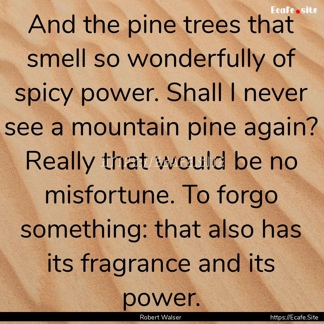 And the pine trees that smell so wonderfully.... : Quote by Robert Walser