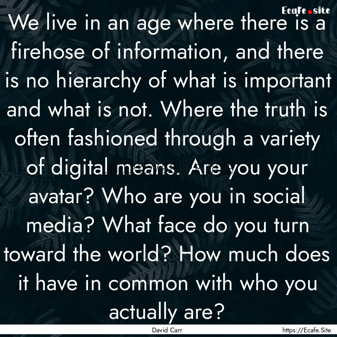 We live in an age where there is a firehose.... : Quote by David Carr