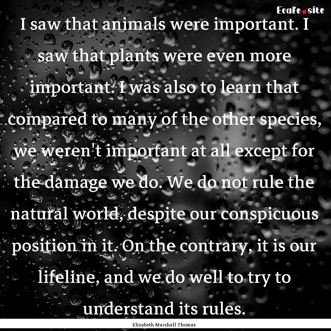 I saw that animals were important. I saw.... : Quote by Elizabeth Marshall Thomas