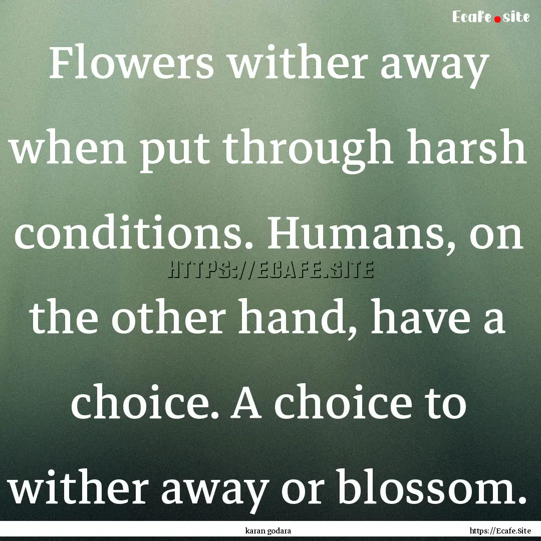 Flowers wither away when put through harsh.... : Quote by karan godara