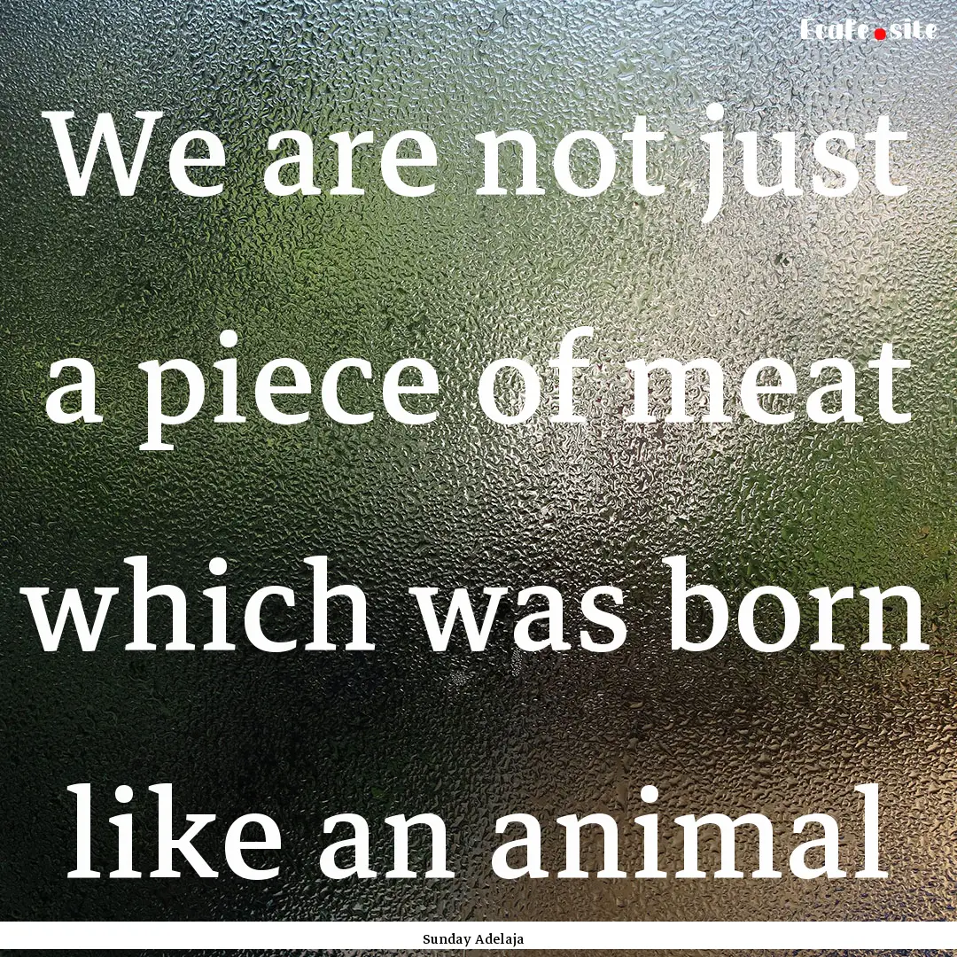 We are not just a piece of meat which was.... : Quote by Sunday Adelaja