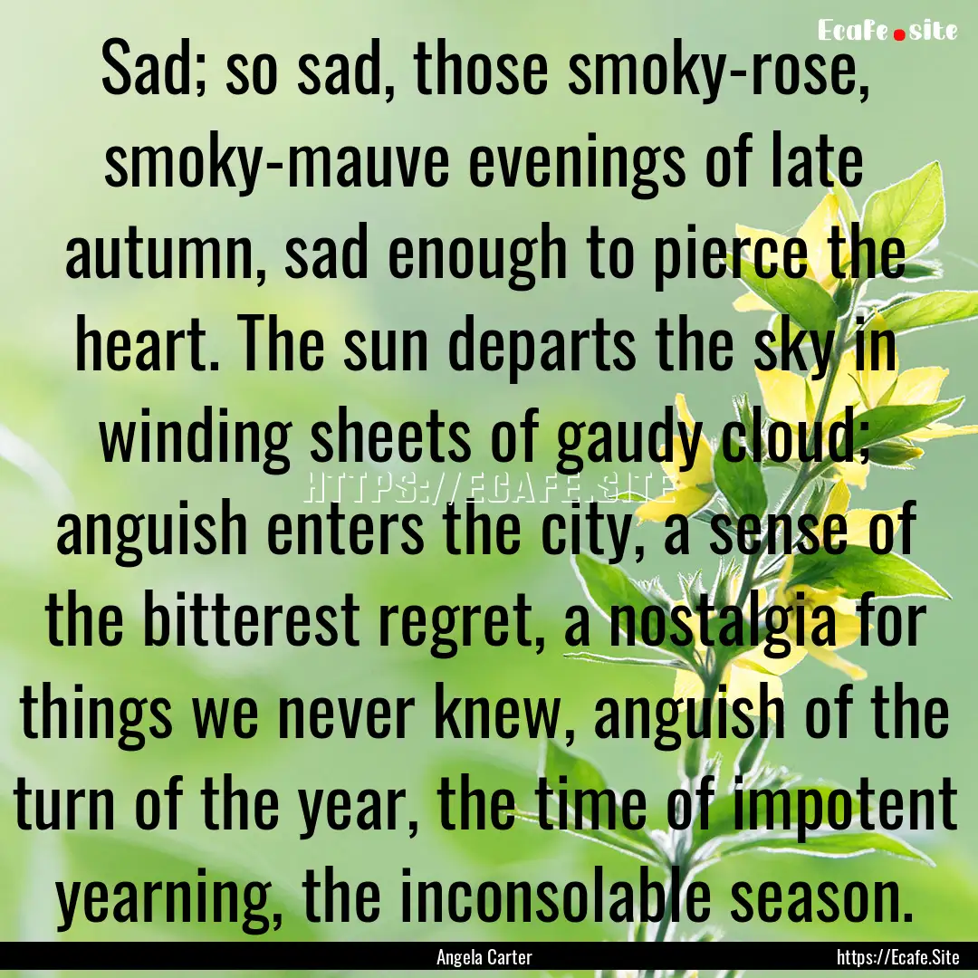 Sad; so sad, those smoky-rose, smoky-mauve.... : Quote by Angela Carter