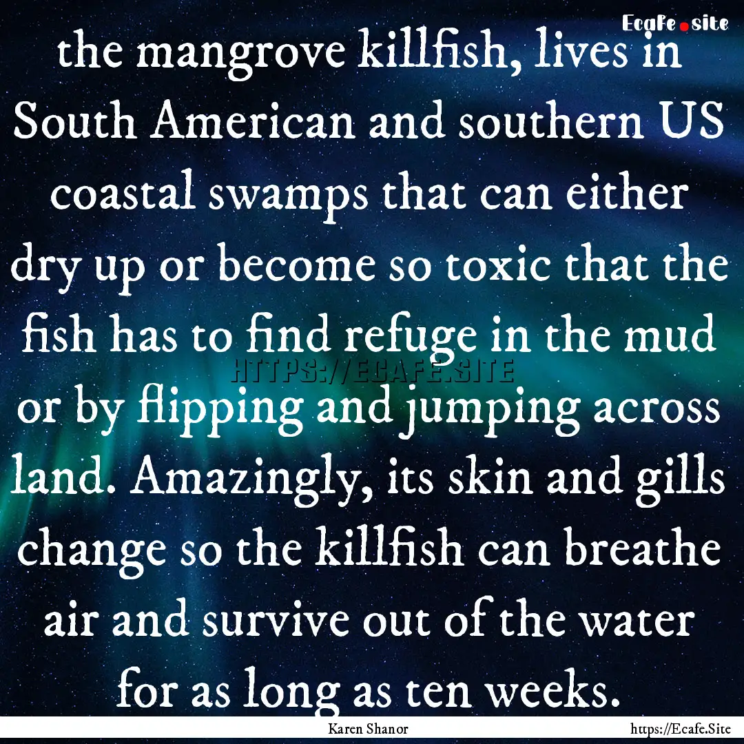 the mangrove killfish, lives in South American.... : Quote by Karen Shanor