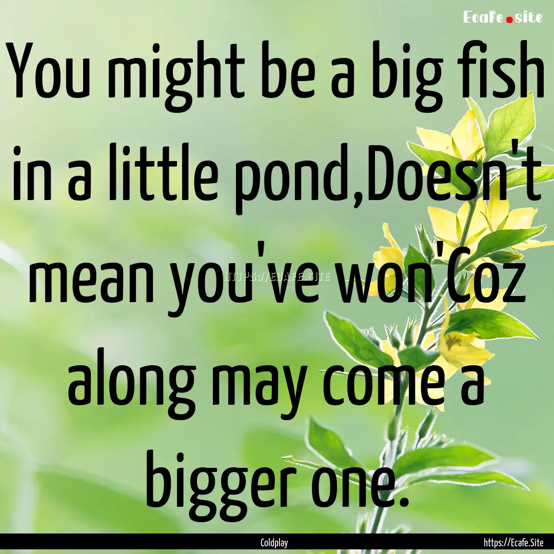 You might be a big fish in a little pond,Doesn't.... : Quote by Coldplay