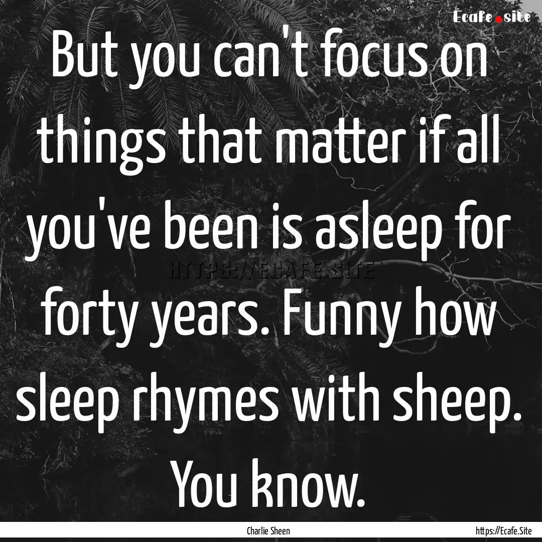 But you can't focus on things that matter.... : Quote by Charlie Sheen