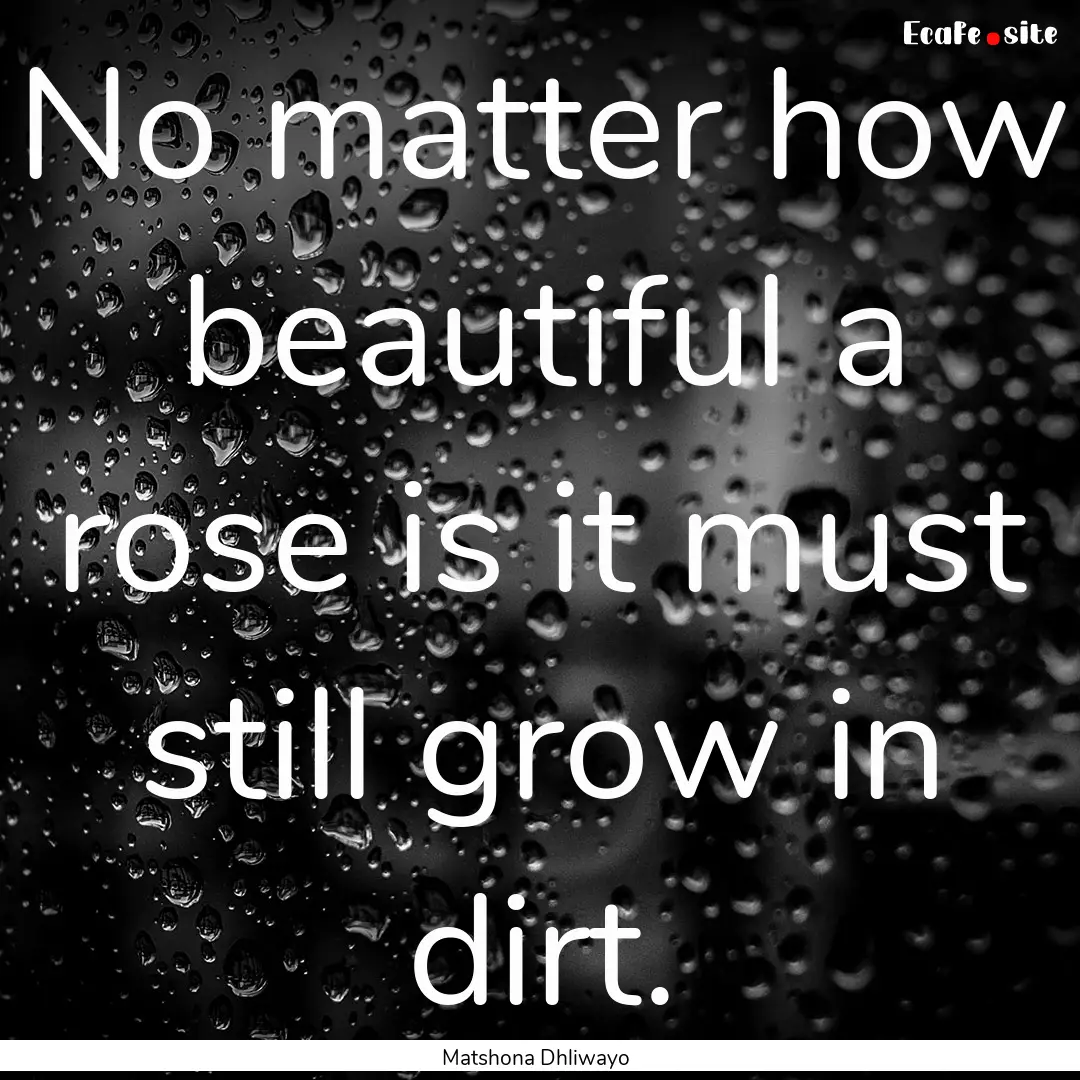 No matter how beautiful a rose is it must.... : Quote by Matshona Dhliwayo