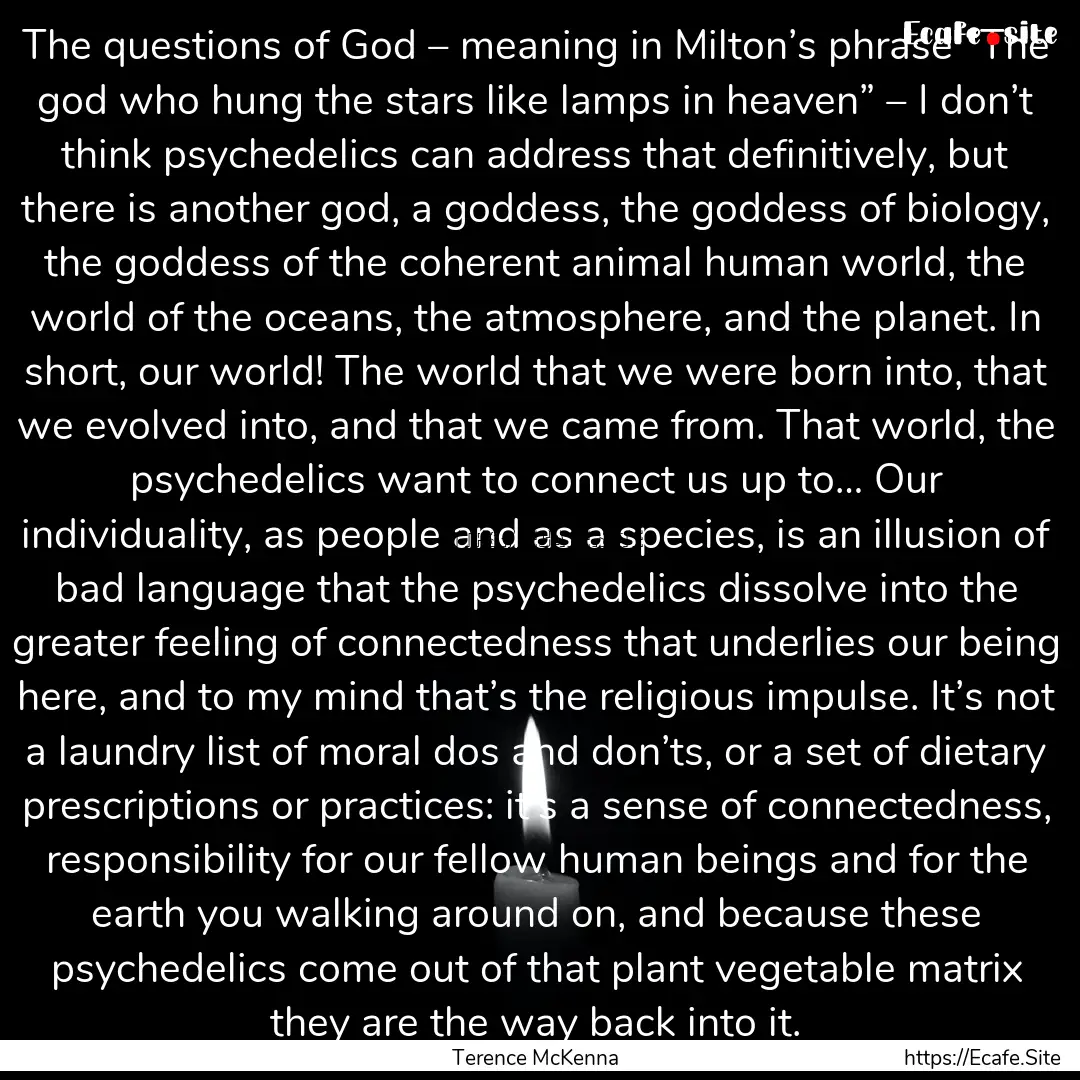 The questions of God – meaning in Milton’s.... : Quote by Terence McKenna