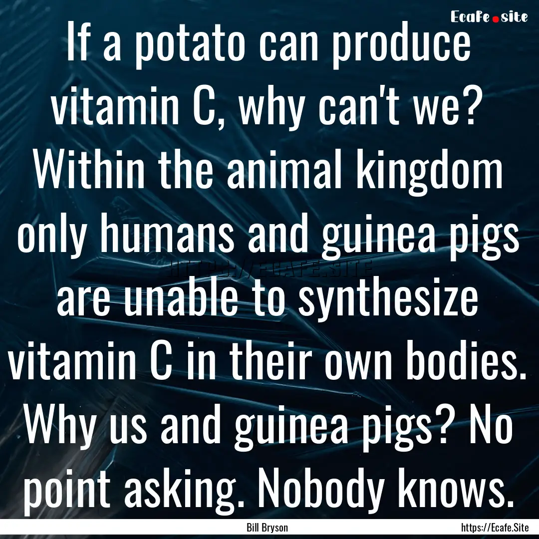 If a potato can produce vitamin C, why can't.... : Quote by Bill Bryson