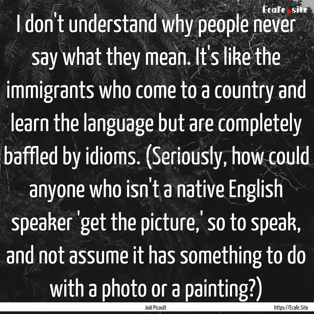 I don't understand why people never say what.... : Quote by Jodi Picoult