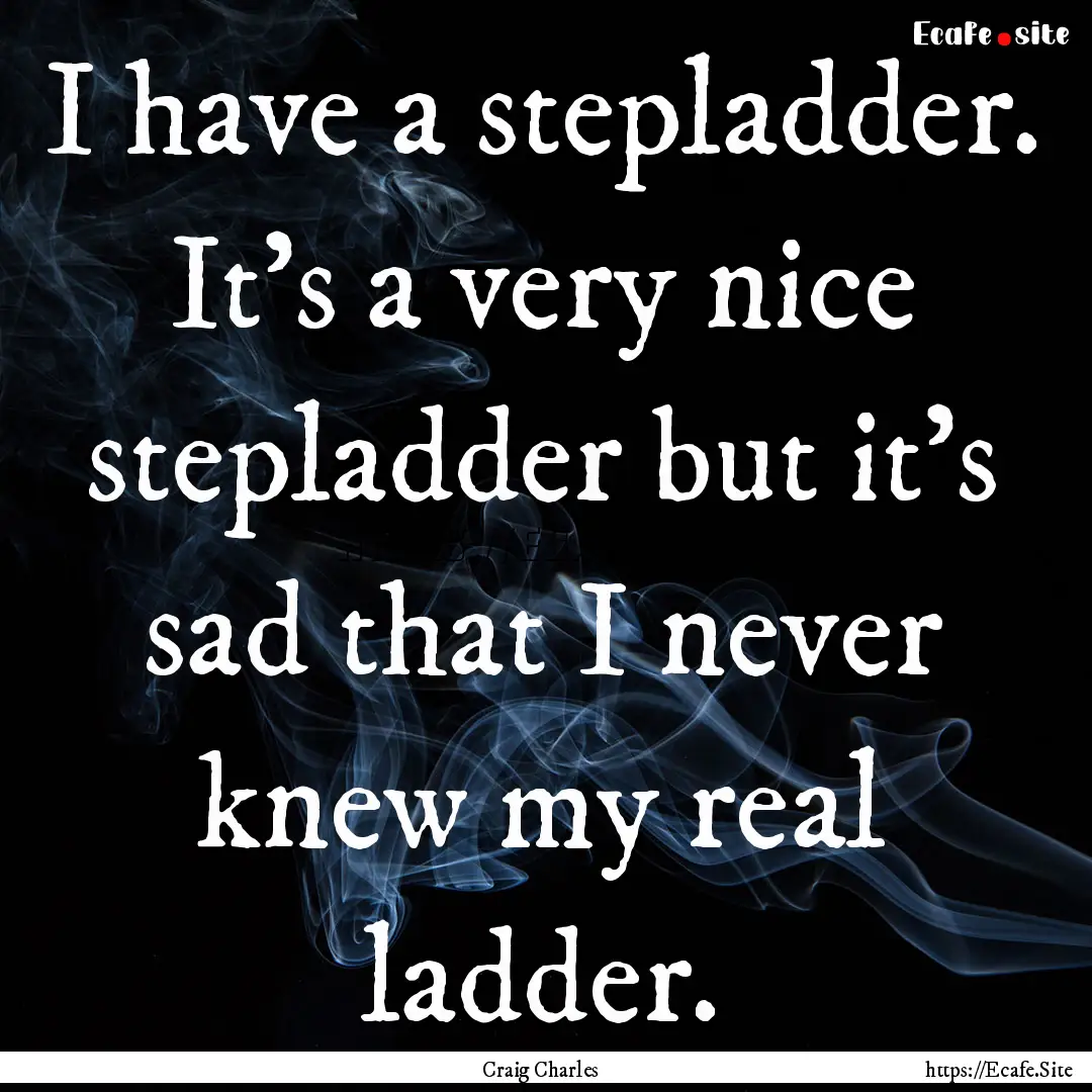 I have a stepladder. It's a very nice stepladder.... : Quote by Craig Charles