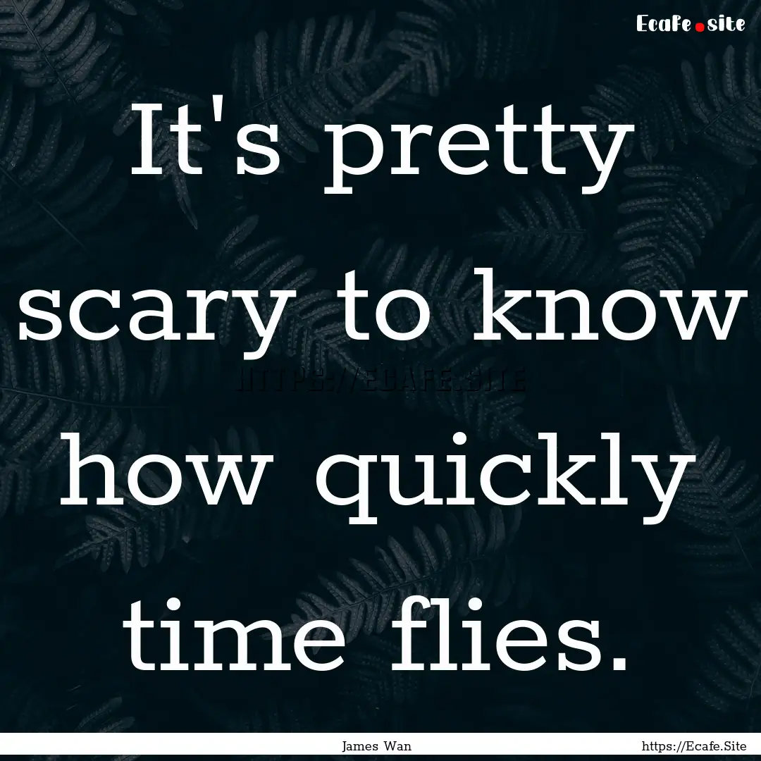 It's pretty scary to know how quickly time.... : Quote by James Wan