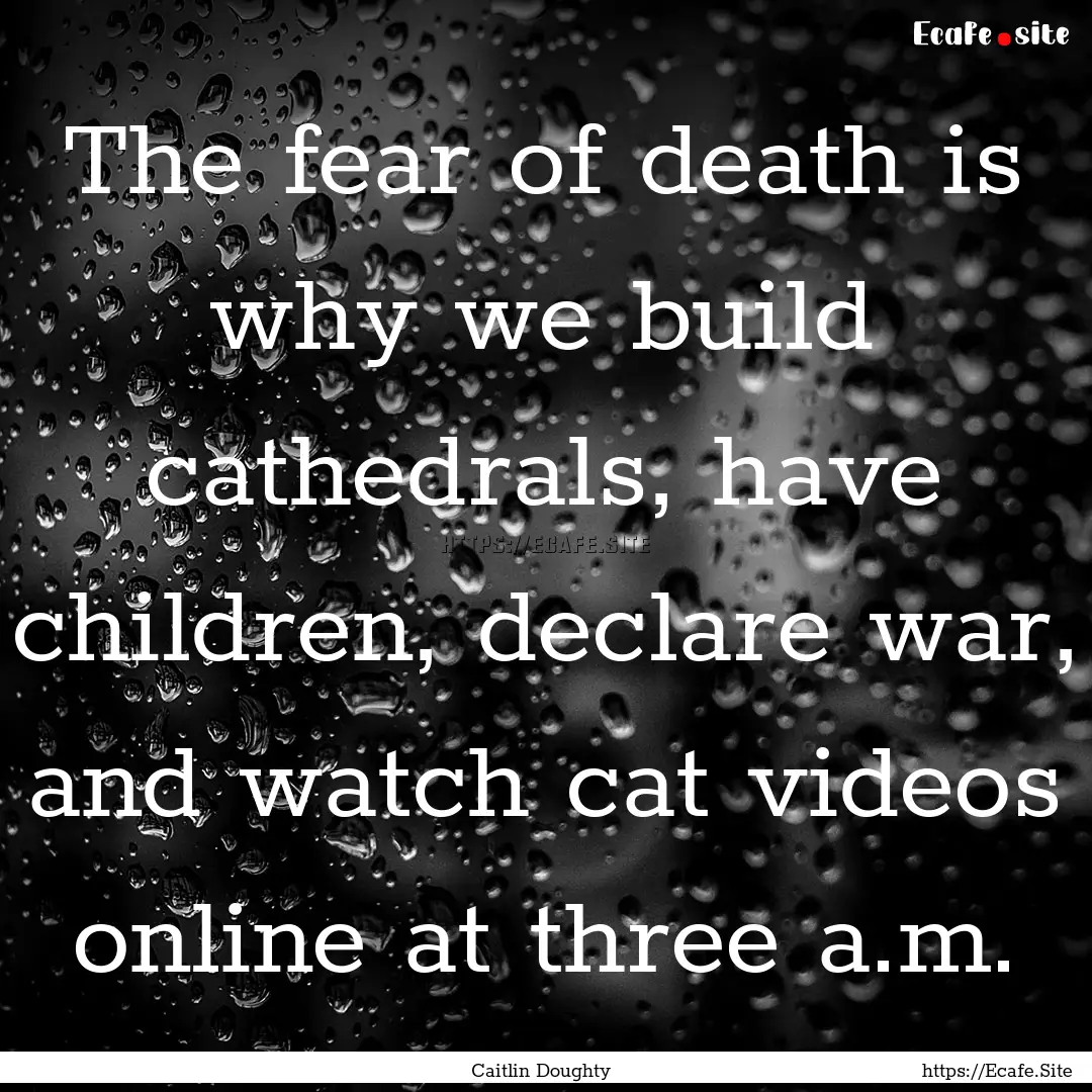 The fear of death is why we build cathedrals,.... : Quote by Caitlin Doughty