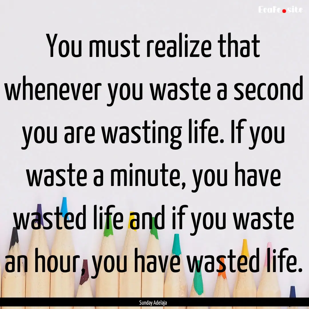 You must realize that whenever you waste.... : Quote by Sunday Adelaja