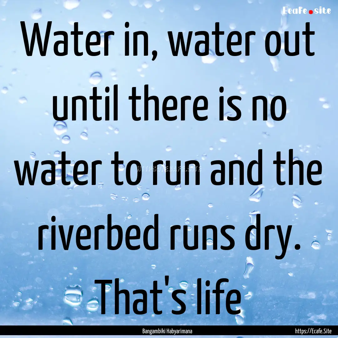 Water in, water out until there is no water.... : Quote by Bangambiki Habyarimana