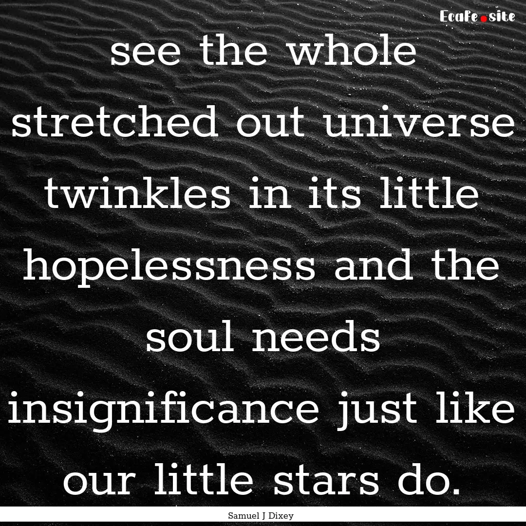 see the whole stretched out universe twinkles.... : Quote by Samuel J Dixey