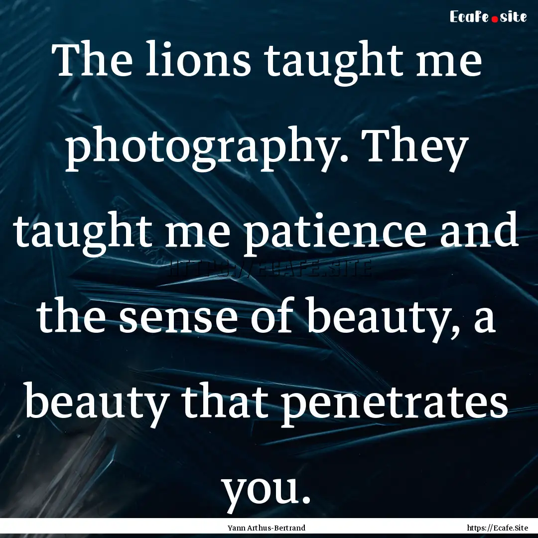 The lions taught me photography. They taught.... : Quote by Yann Arthus-Bertrand