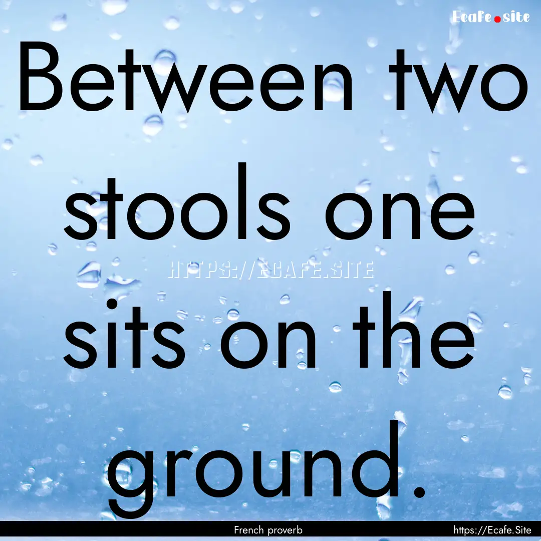 Between two stools one sits on the ground..... : Quote by French proverb