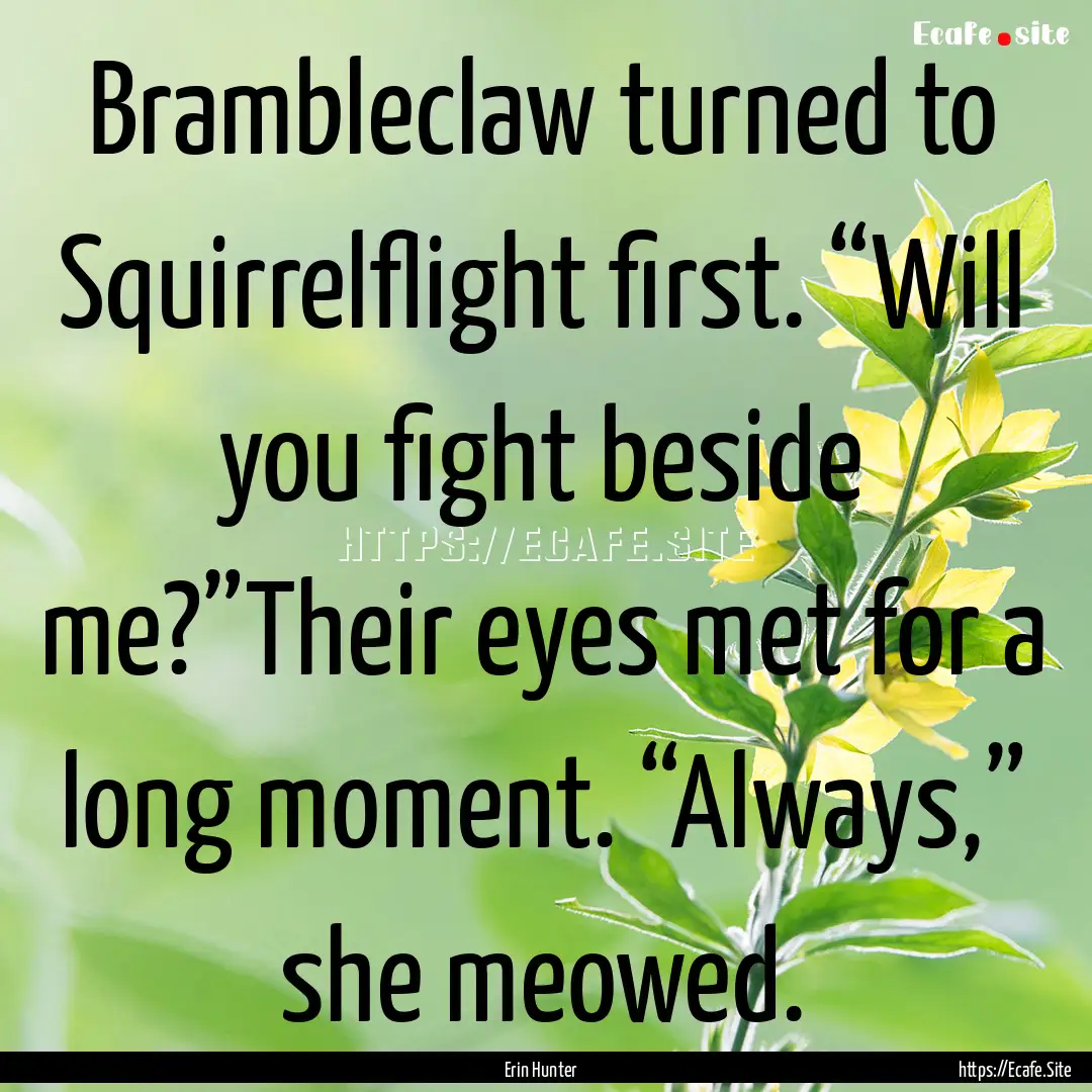 Brambleclaw turned to Squirrelflight first..... : Quote by Erin Hunter