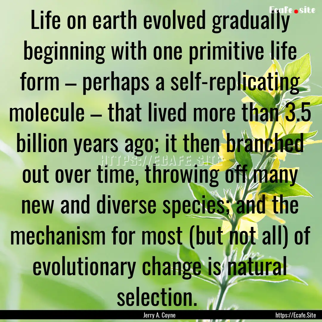 Life on earth evolved gradually beginning.... : Quote by Jerry A. Coyne