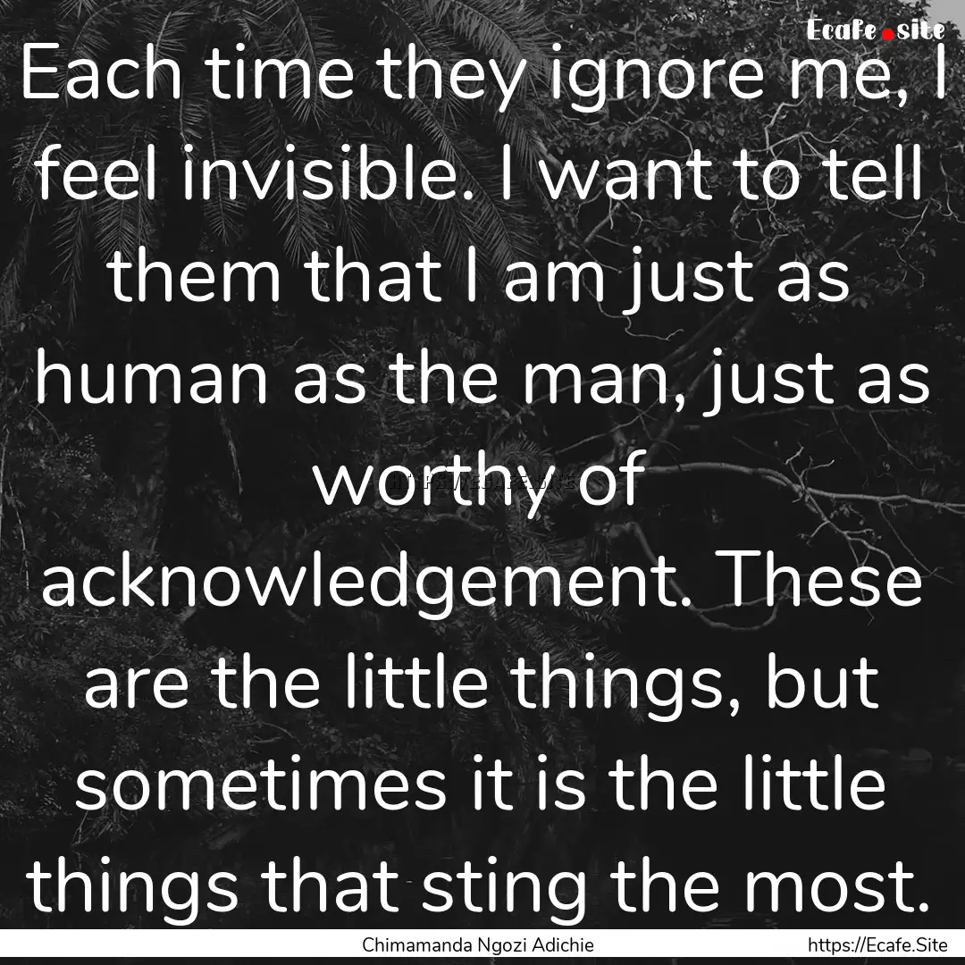 Each time they ignore me, I feel invisible..... : Quote by Chimamanda Ngozi Adichie