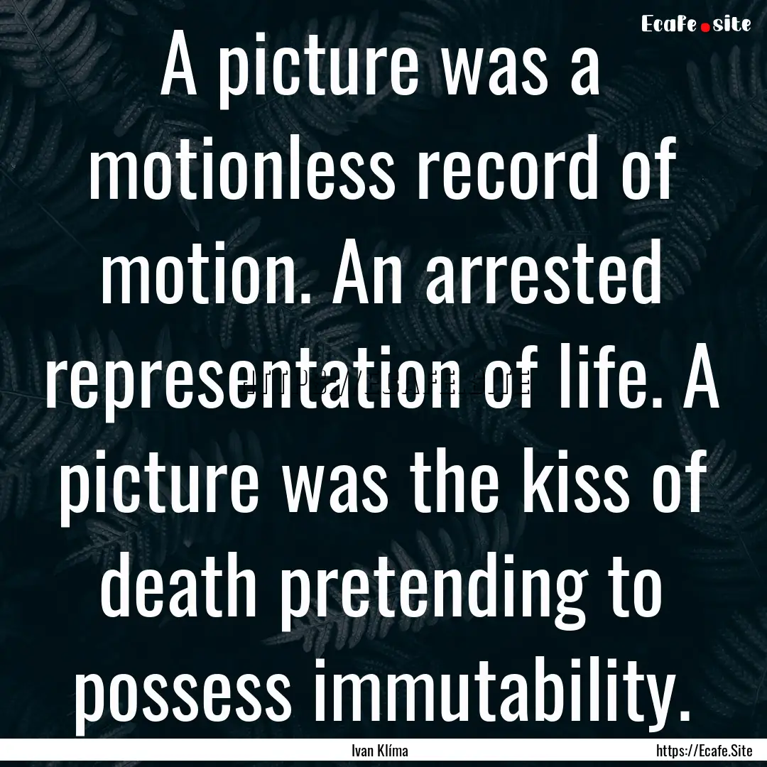 A picture was a motionless record of motion..... : Quote by Ivan Klíma