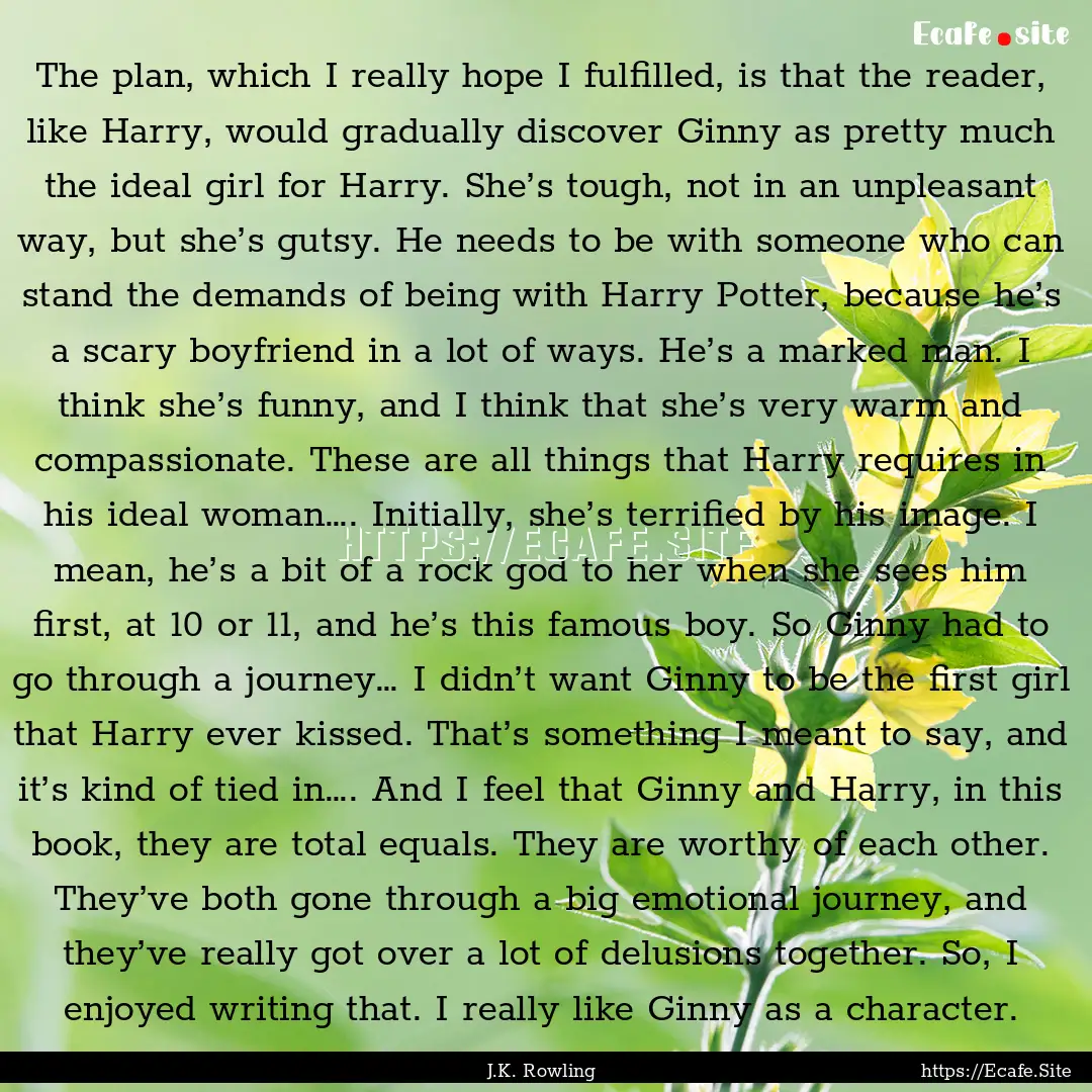 The plan, which I really hope I fulfilled,.... : Quote by J.K. Rowling