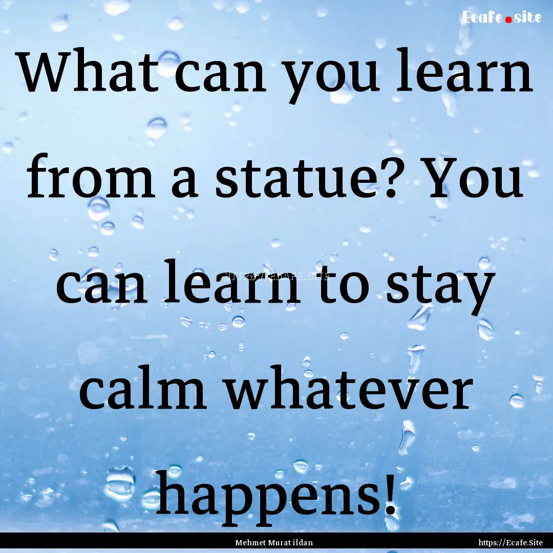 What can you learn from a statue? You can.... : Quote by Mehmet Murat ildan