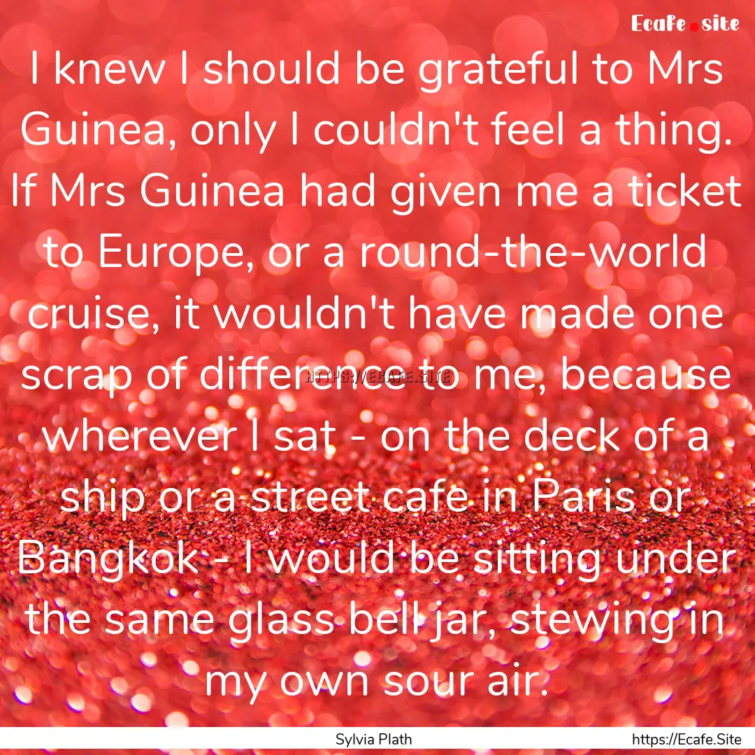 I knew I should be grateful to Mrs Guinea,.... : Quote by Sylvia Plath