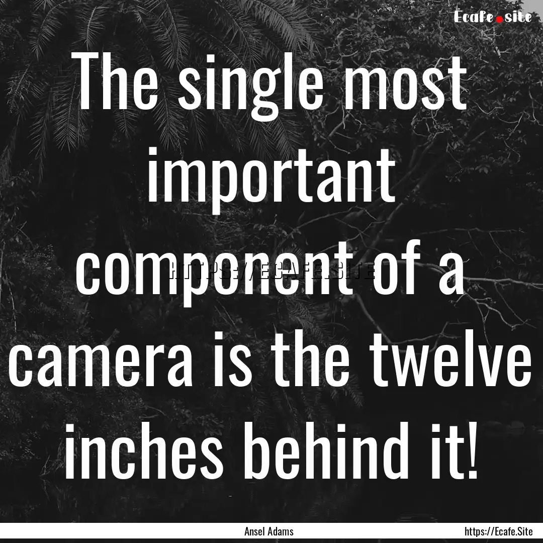 The single most important component of a.... : Quote by Ansel Adams