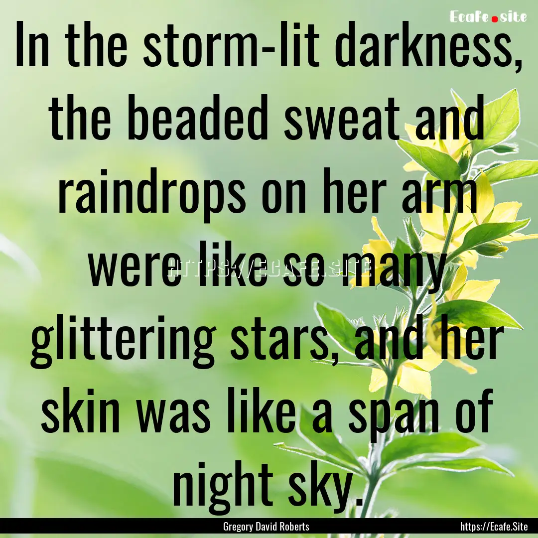 In the storm-lit darkness, the beaded sweat.... : Quote by Gregory David Roberts