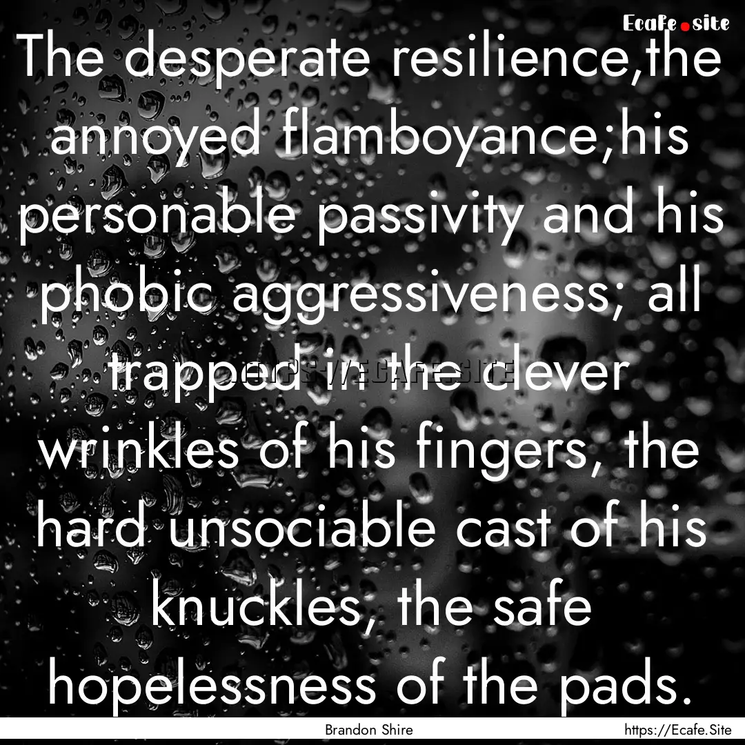 The desperate resilience,the annoyed flamboyance;his.... : Quote by Brandon Shire